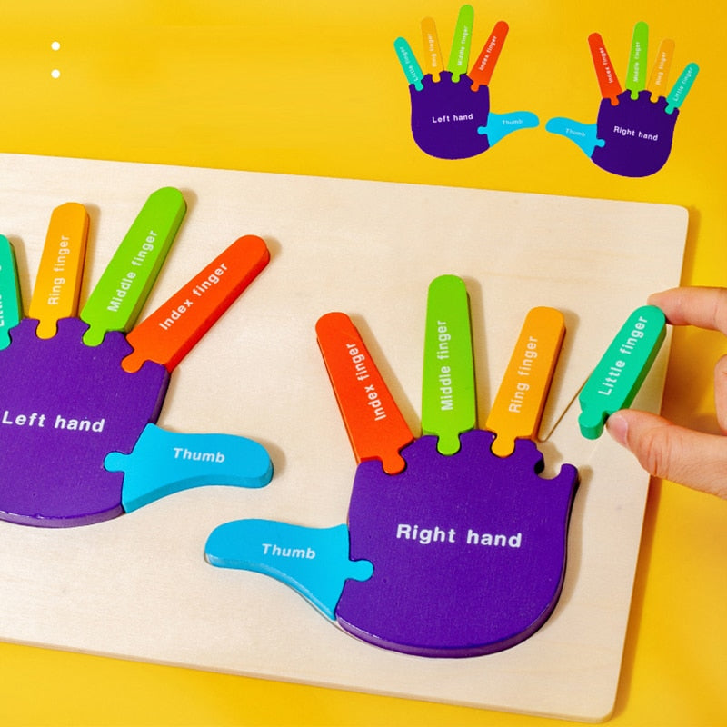 Puzzle 3D Montessori en bois pour les mains et les pieds