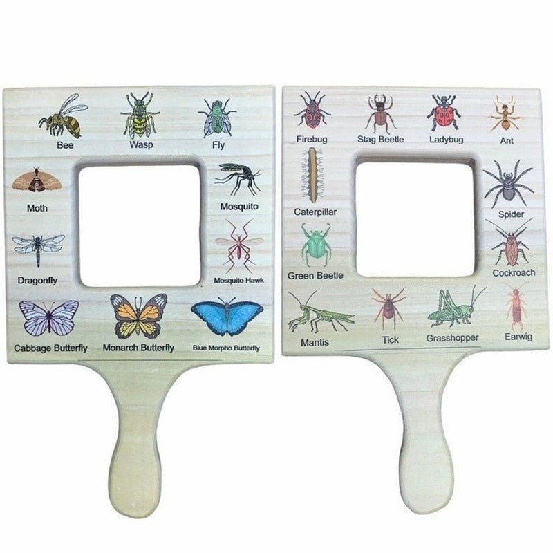 Fidtoy Montessori Nature Guide Finder Outdoor Learning Toy for Kids