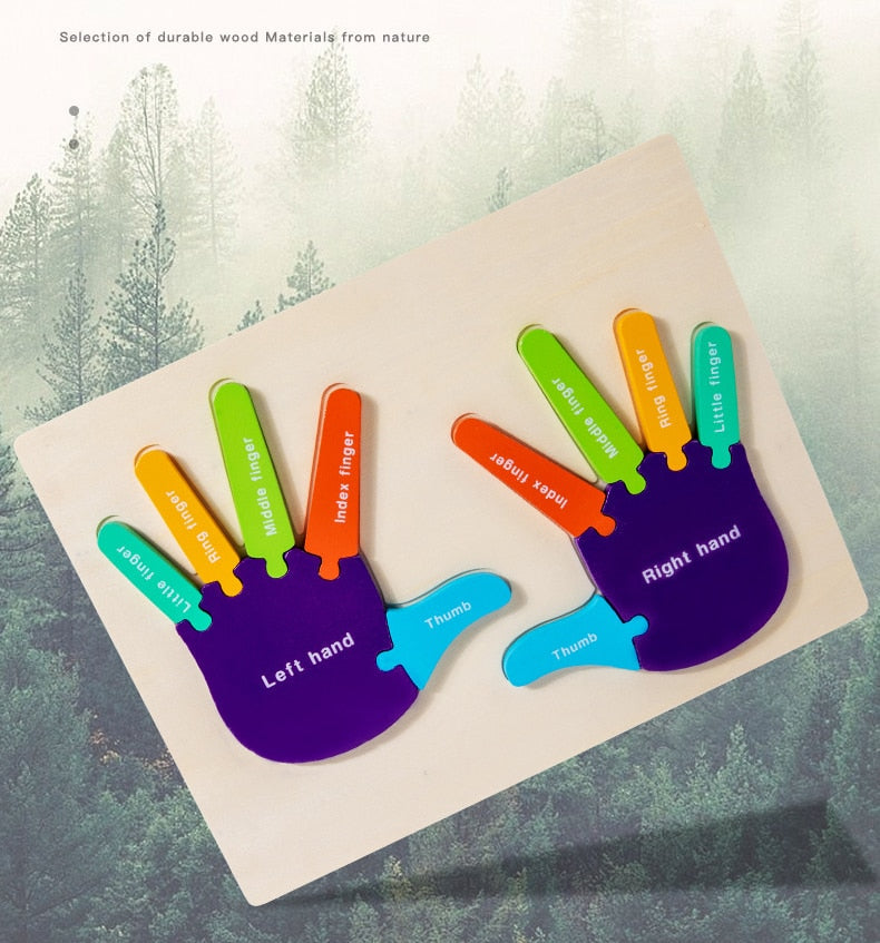Puzzle 3D Montessori en bois pour les mains et les pieds