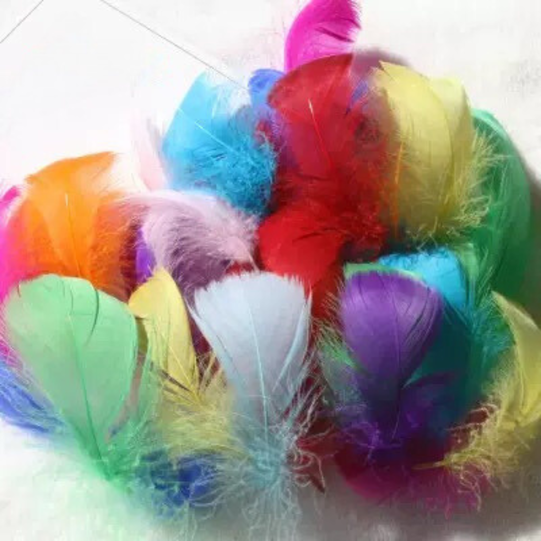 Short Feather Mixed Colour Pack of 100