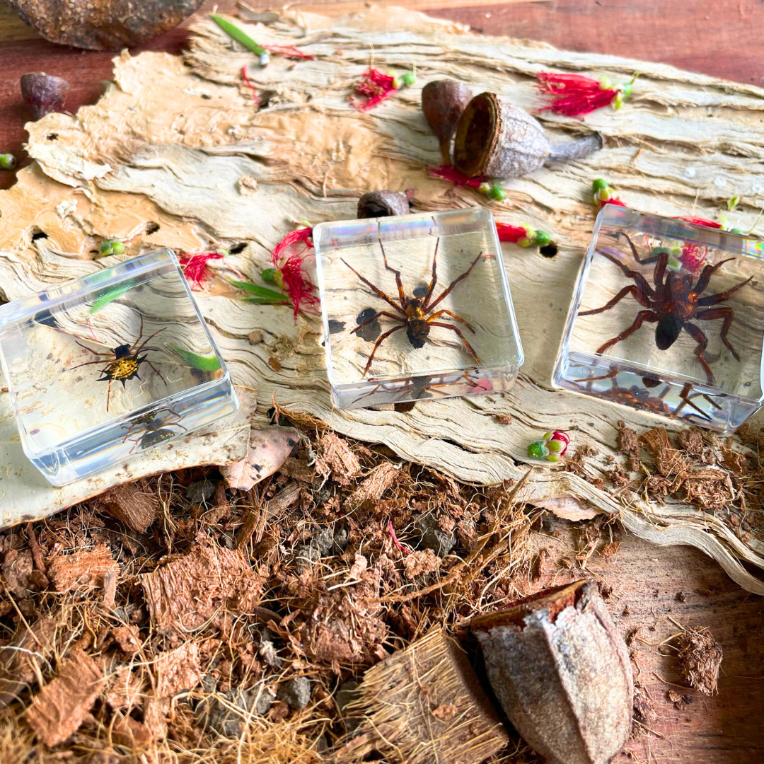 Crawling Animals Insects Bugs Resin Epoxy Blocks Specimens Toy