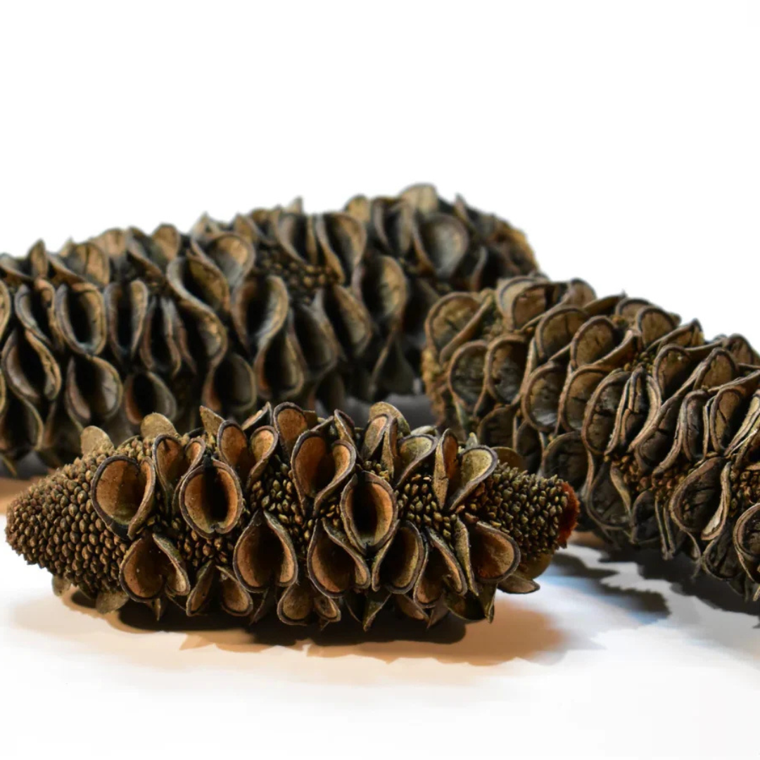 DIY Loose Parts Play Material, Egg, Tree, Rings, Bobbins, Peg Chips Coins, Peg Doll, Acorn, Ball, Egg, banksia, gumnut, seeds