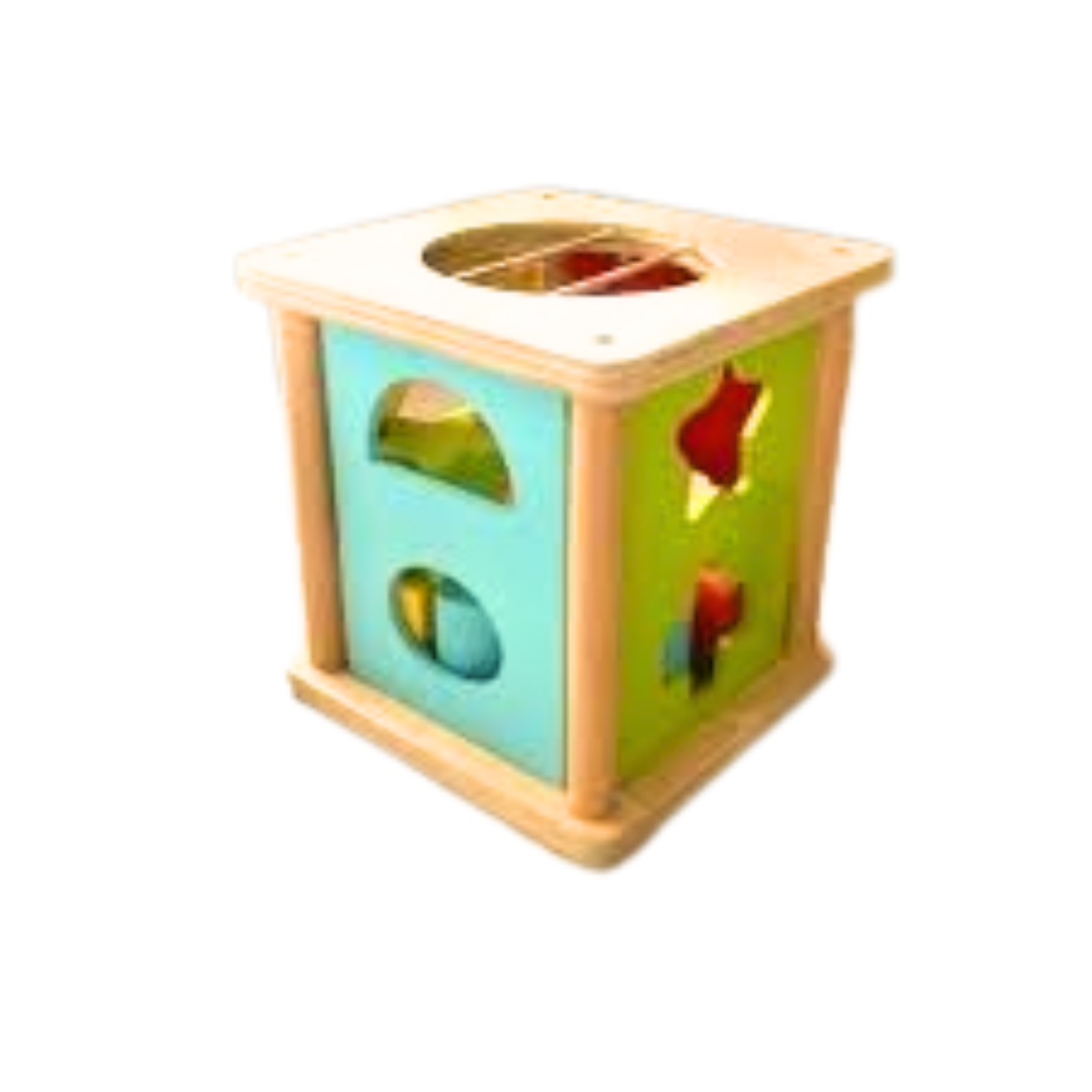 Wooden Geometric Shape Sorting Box