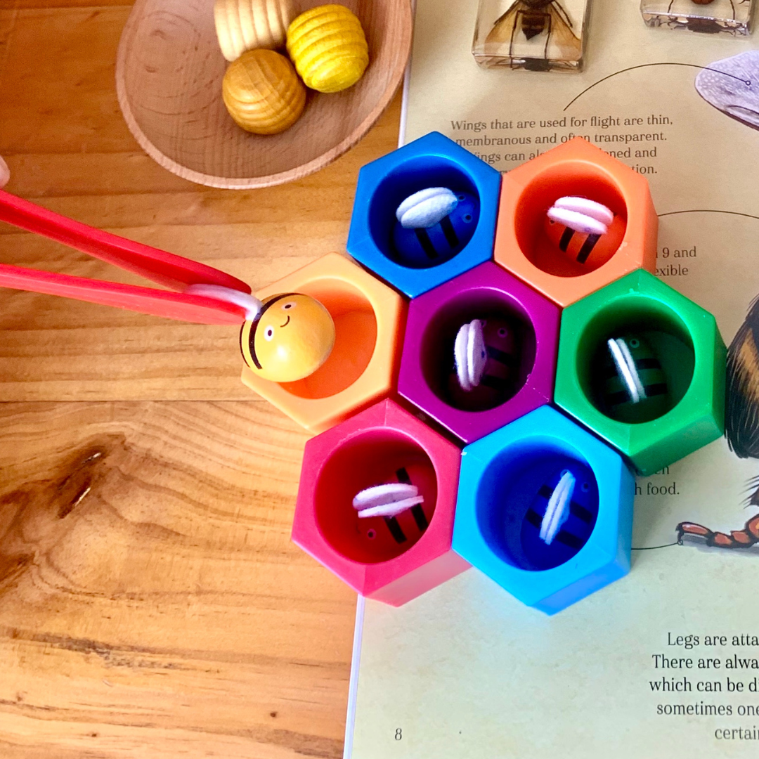Montessori Beehives Bee Catching Game Colour Sorting Stacking Toy