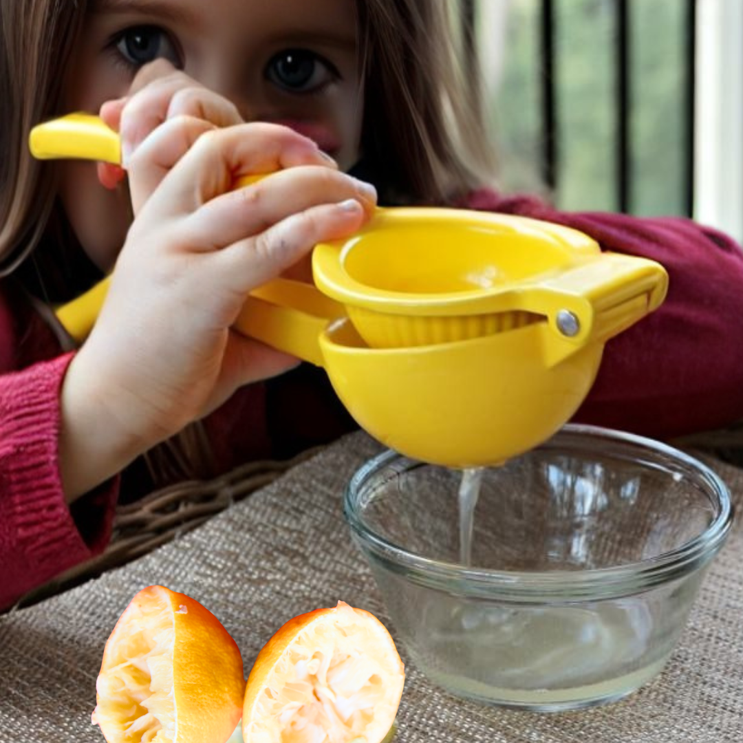 Kids Lemon Squeezer Juicer Little Play Kitchen Sensory Tool