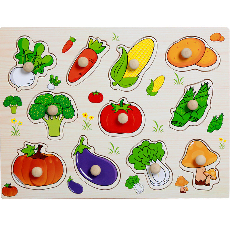 Montessori Peg Puzzles