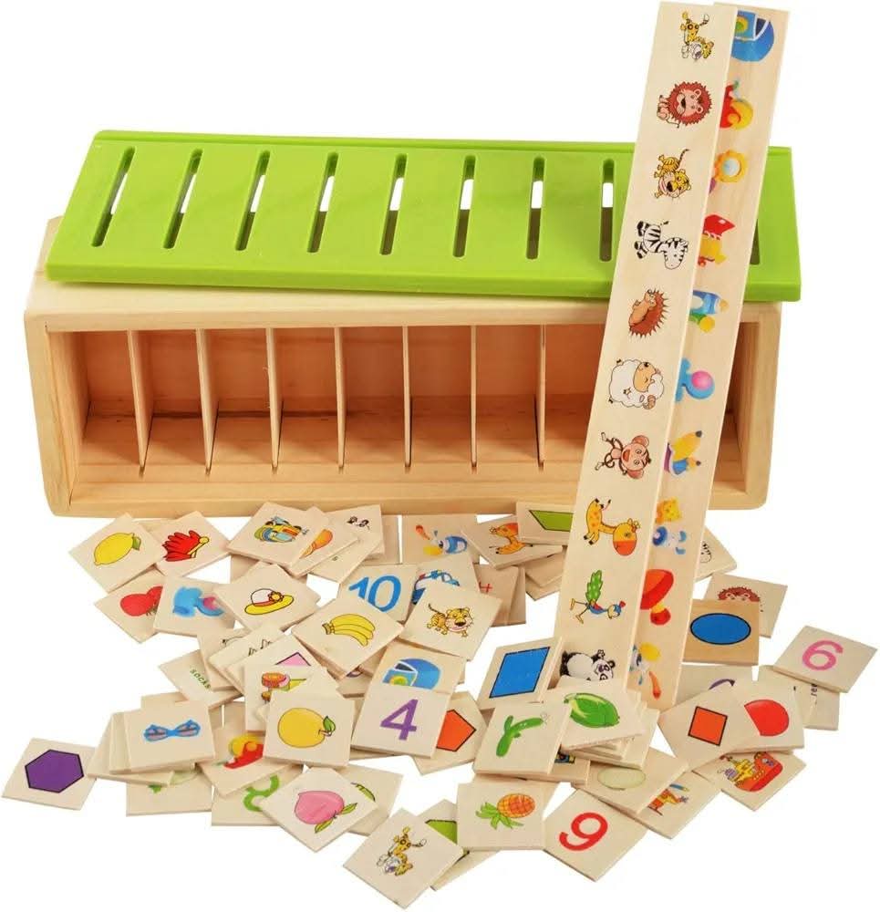 Wooden Knowledge Classification Box