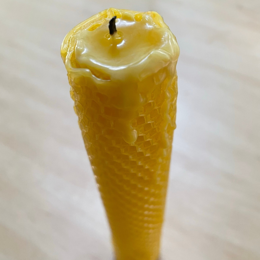 6 Beeswax Candle Rolling Sheets Natural Honey Scent Kids Bee Theme Craft DIY Making Kit