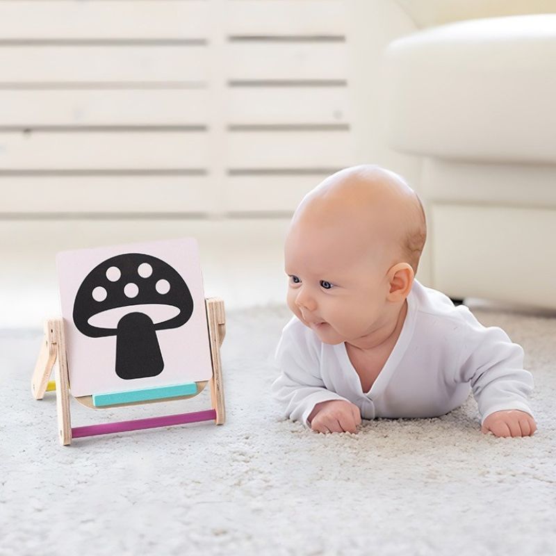 Montessori Visual Tracking Set for Babies - Development Kit