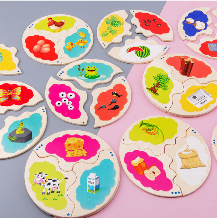 Wooden Evolution Puzzle-Mathematics toys