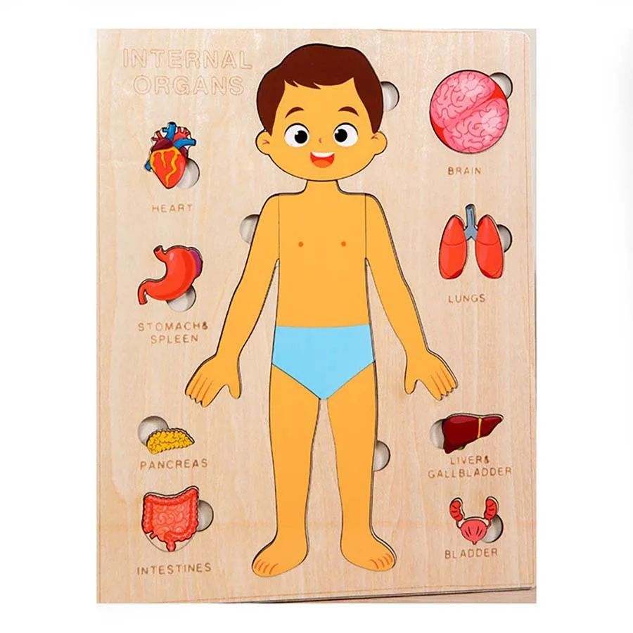 Wooden Montessori Human Body Puzzle - Educational Learning Toy for Kids