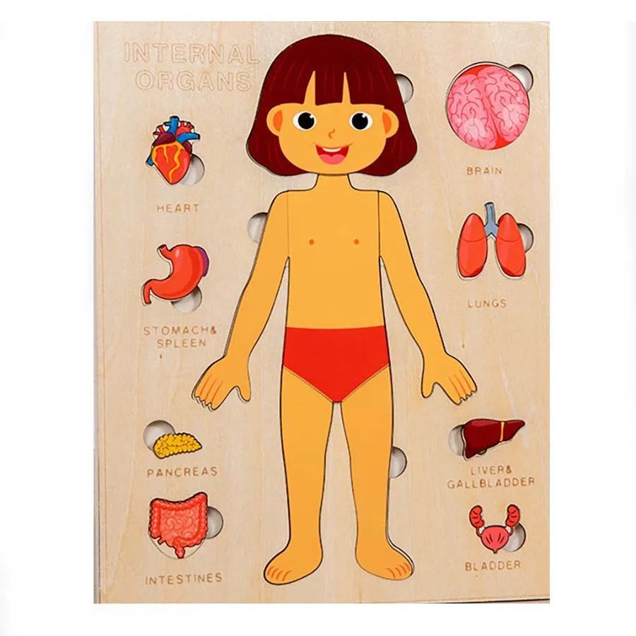Wooden Montessori Human Body Puzzle - Educational Learning Toy for Kids