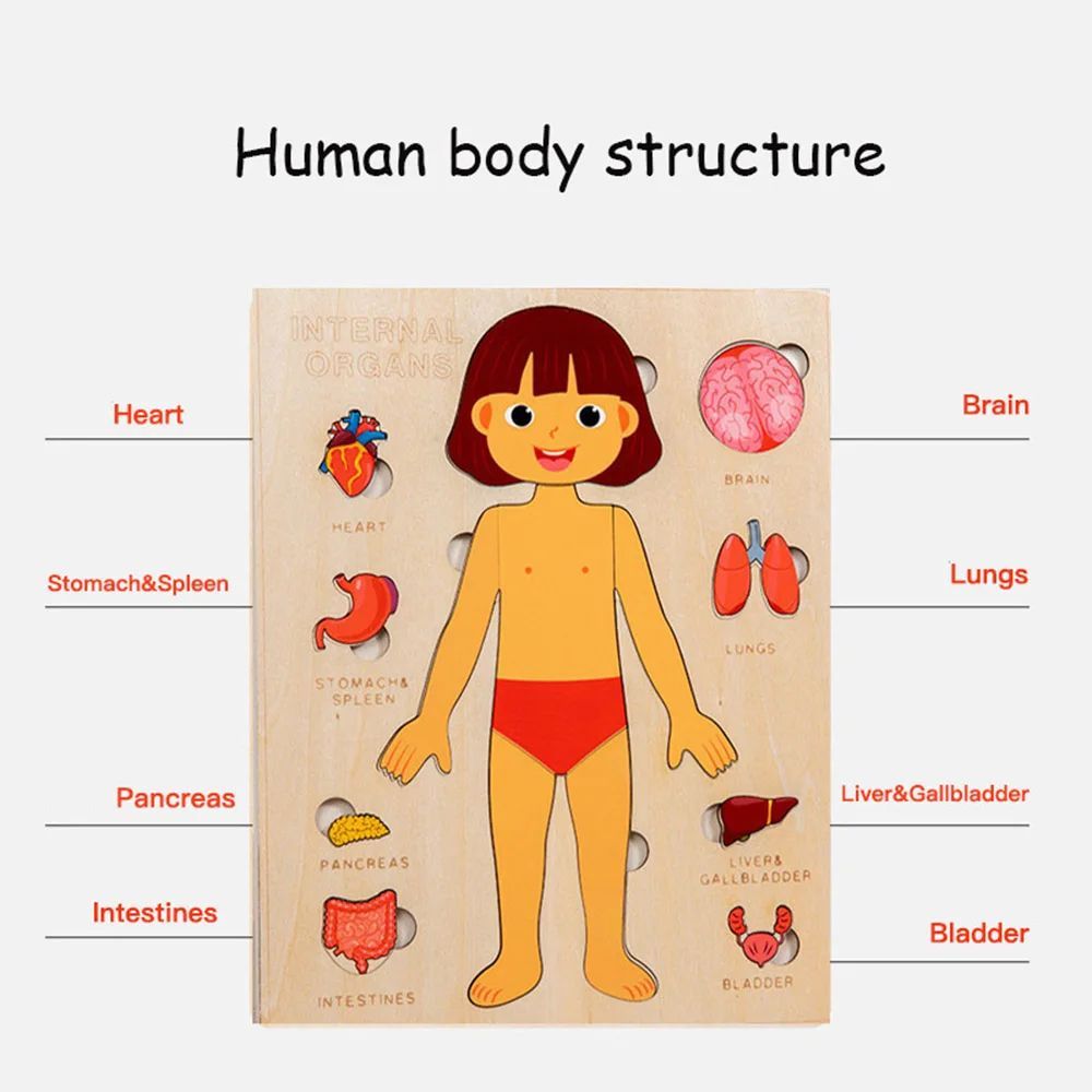 Wooden Montessori Human Body Puzzle - Educational Learning Toy for Kids