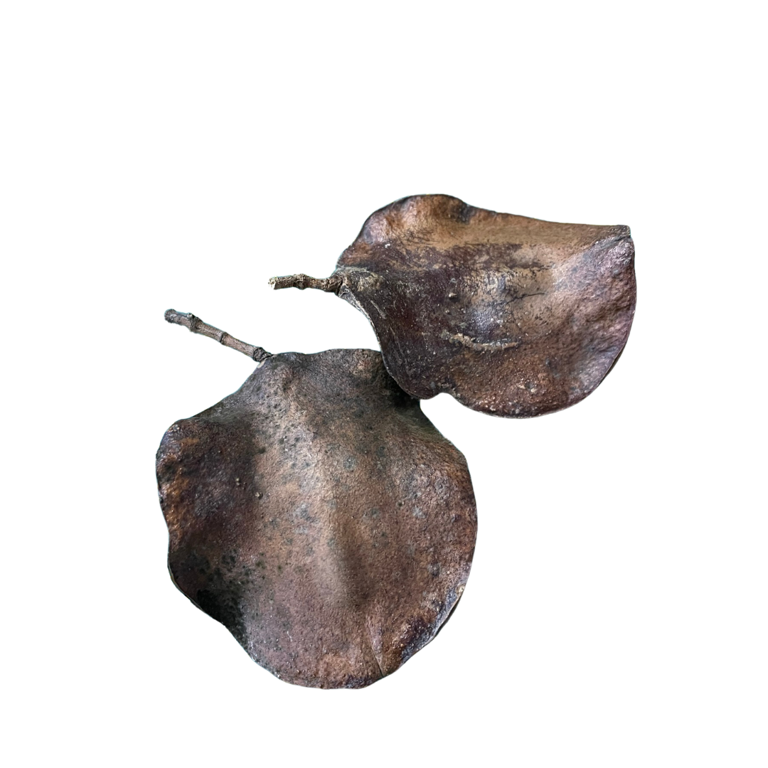 DIY Loose Parts Play Material, Egg, Tree, Rings, Bobbins, Peg Chips Coins, Peg Doll, Acorn, Ball, Egg, banksia, gumnut, seeds