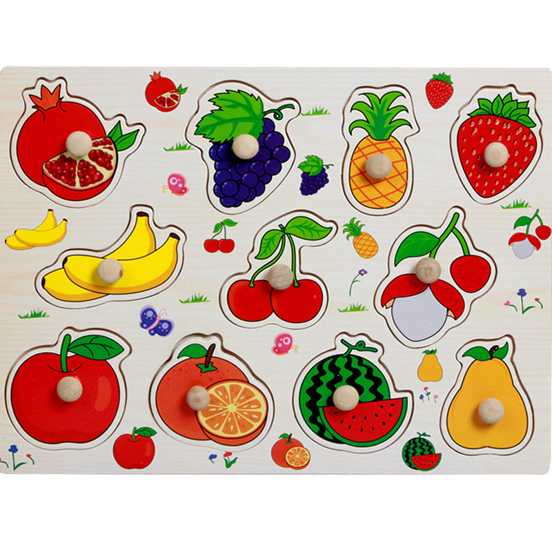 Montessori Peg Puzzles