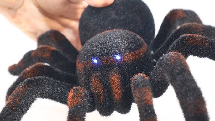 Fidtoy Jouet Araignée Tarentule Télécommandée – Araignée réaliste qui bouge pour enfants de 8 ans et plus