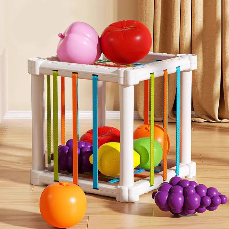 Fruit Box™ - Snijden, Spelen, Leren - Fruit in box