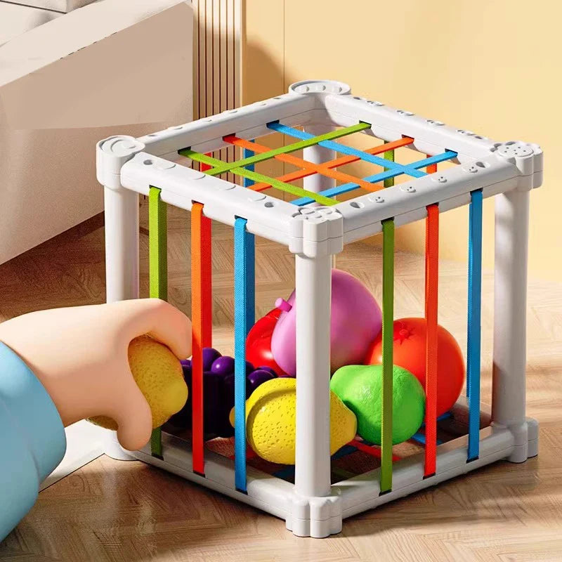 Fruit Box™ - Snijden, Spelen, Leren - Fruit in box