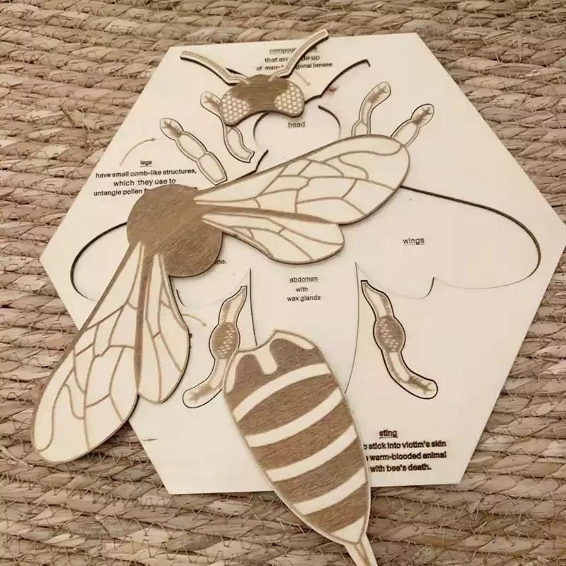 Wooden Bee Anatomy Puzzle