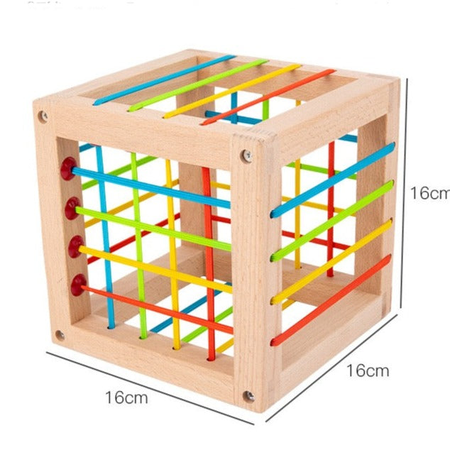 Wooden Shape Insert Box - Mathematics Educational Toys