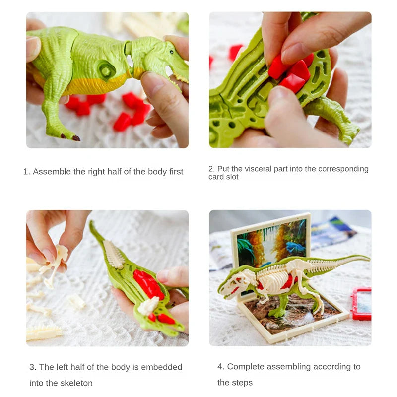 DinoDig – Spannend en leerzaam – Fossielenopgravingsset