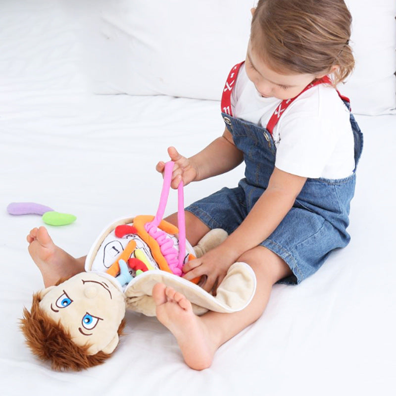 Poupée anatomique Montessori - Meilleurs jouets Montessori