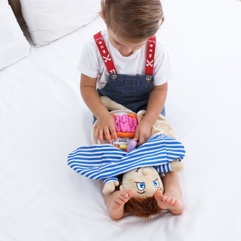 Poupée anatomique Montessori - Meilleurs jouets Montessori