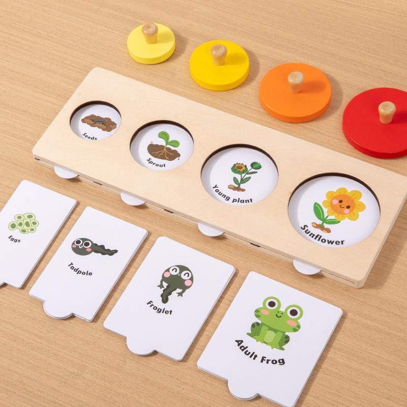 Wooden Growth Process Learning Puzzle Set