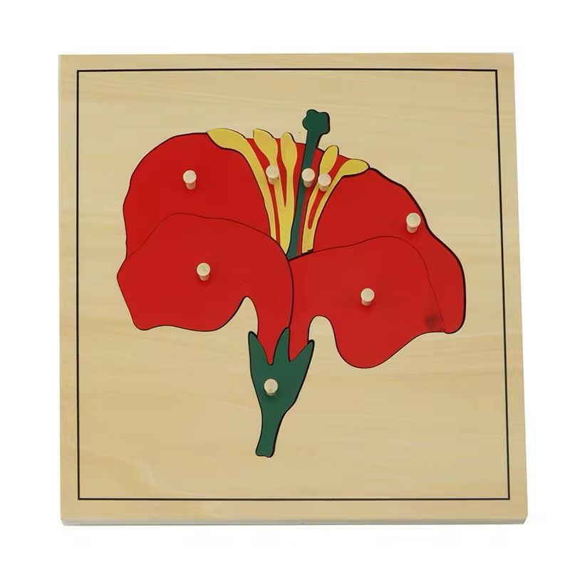 Montessori Botany - Flower Puzzle with Wooden Knobs