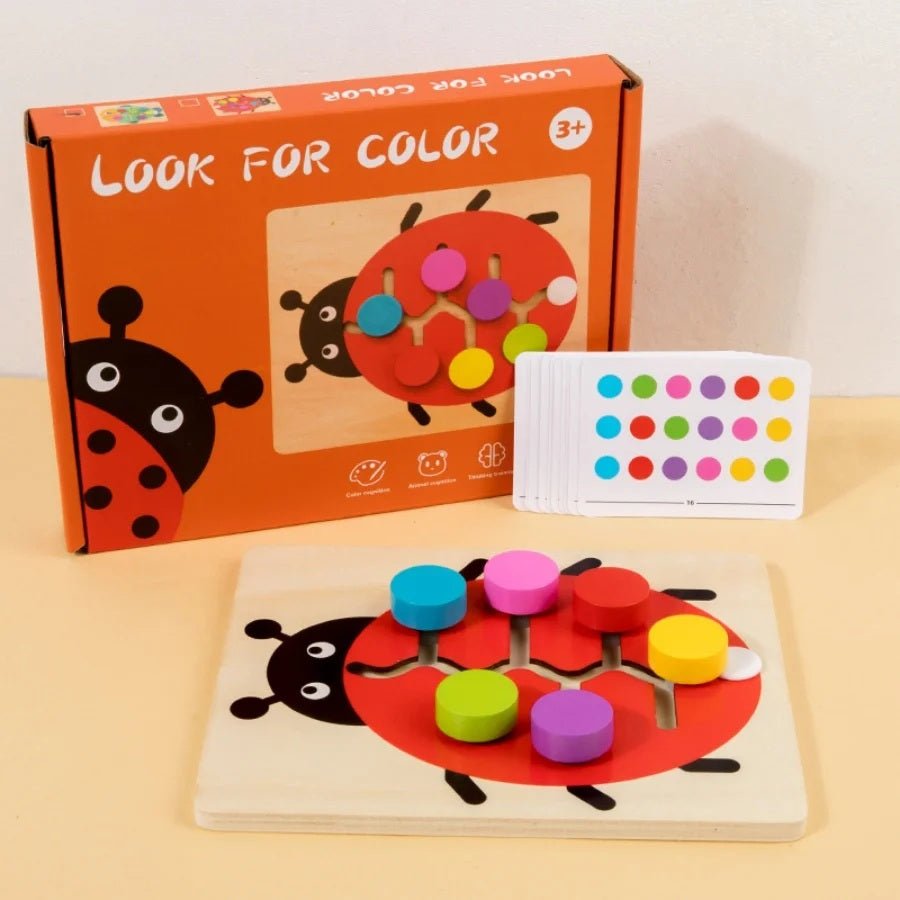 Montessori Color Matching Slide Puzzle – Educational Logic Board Game for Toddlers