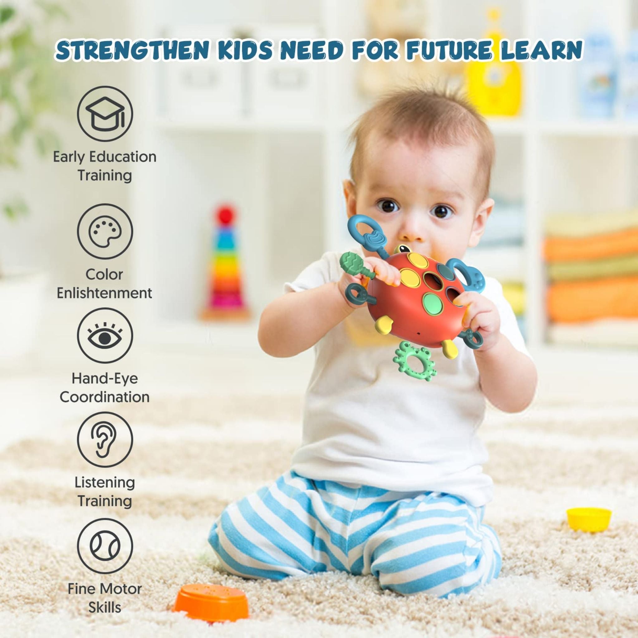 Montessori Crab Explorer