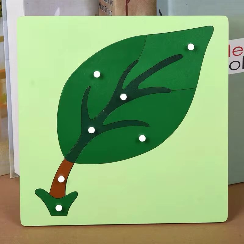 Montessori Science Puzzle Set - Zoology and Botany Knob Puzzles for Hands-On Learning