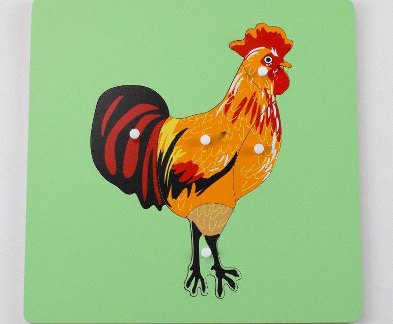 Montessori Science Puzzle Set - Zoology and Botany Knob Puzzles for Hands-On Learning