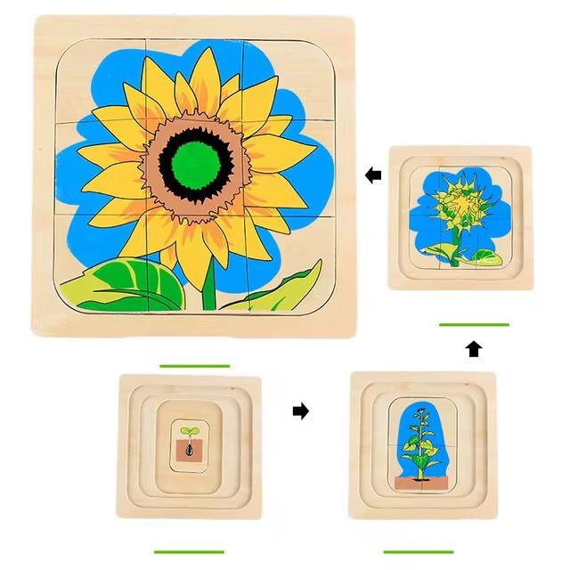 Montessori Wooden Layered Life Cycle Puzzle - Sunflower