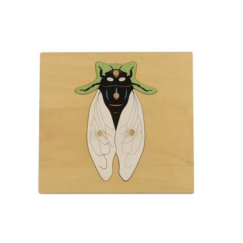 Montessori Zoology - Cicada Puzzle with Wooden Knobs