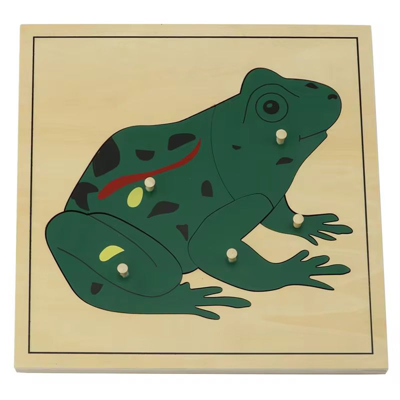 Montessori Zoology - Frog Puzzle with Wooden Knobs