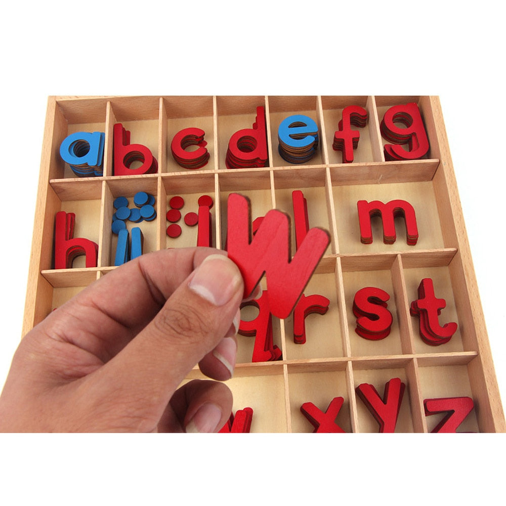 Moveable alphabet - Montessori Language