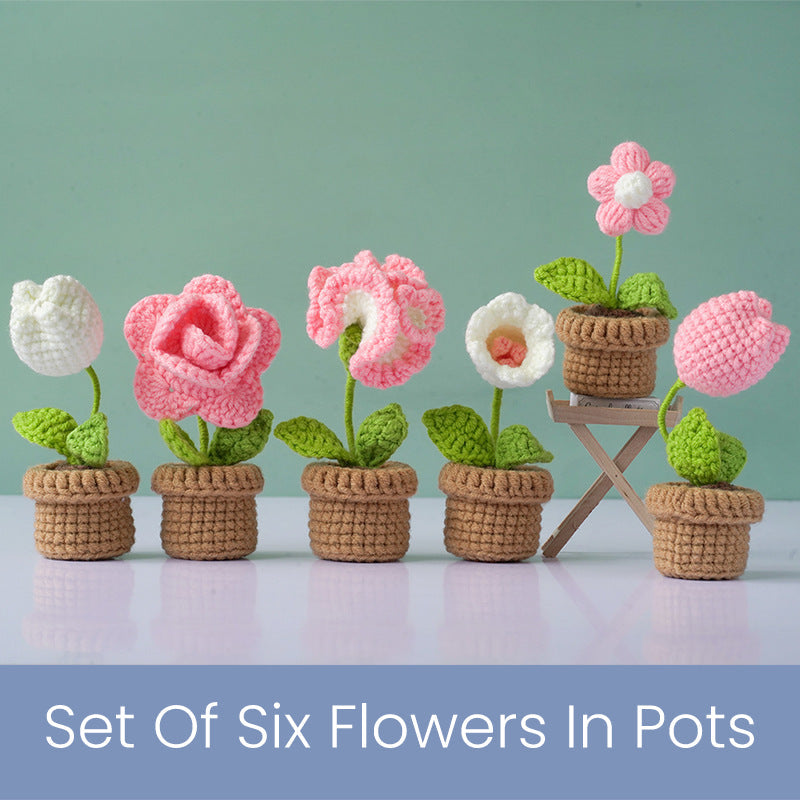 Flower Pot Set Crochet Kit