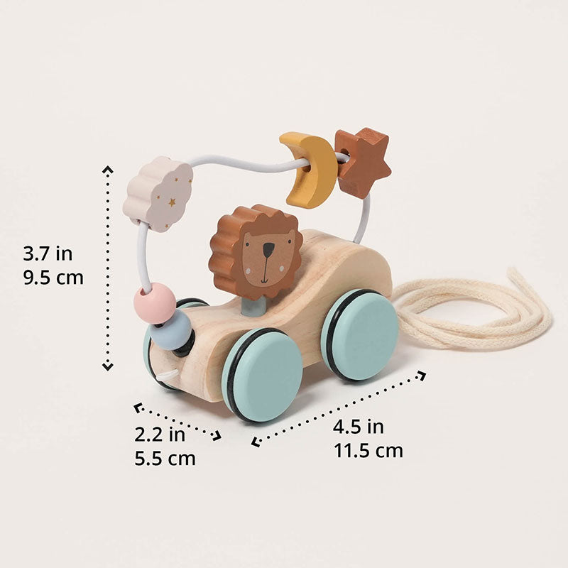 Montessori Roaring Roller