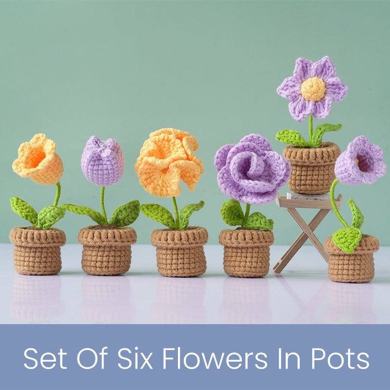 Flower Pot Set Crochet Kit