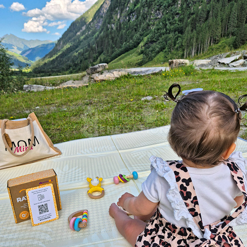 Montessori Rattle Kit