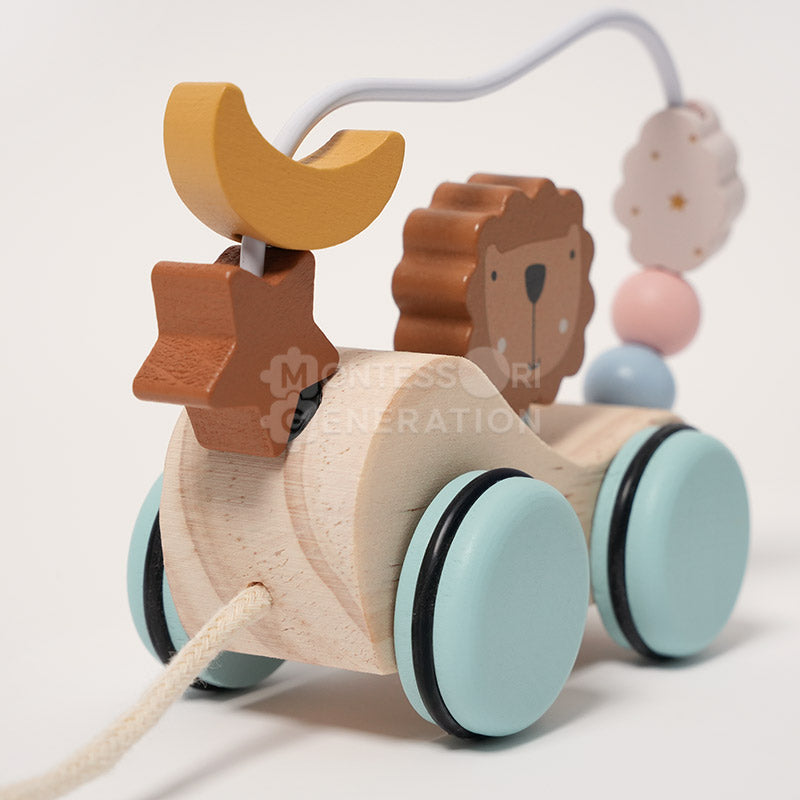 Montessori Roaring Roller