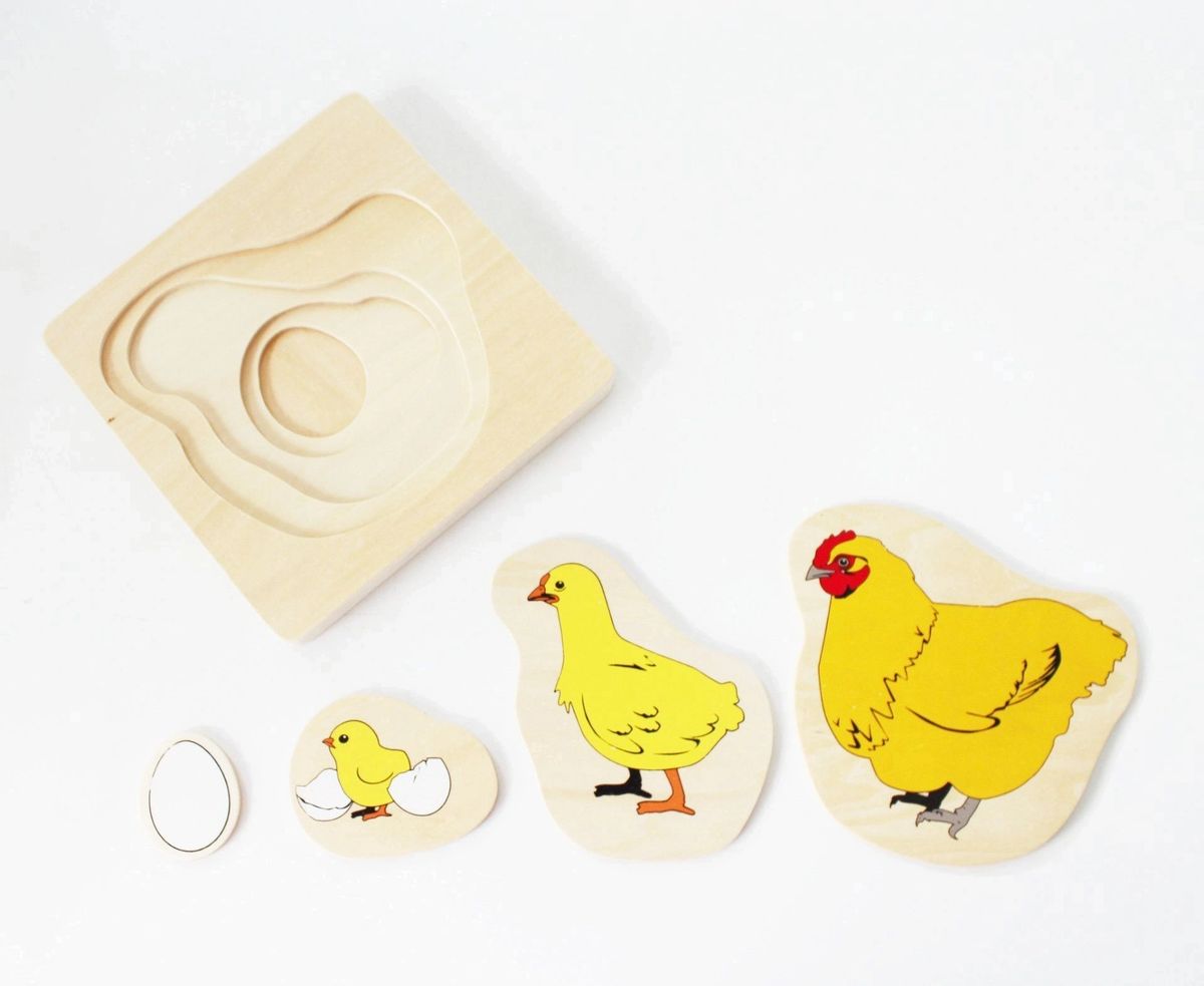 Montessori Multilayered Chicken Lifecycle Puzzle