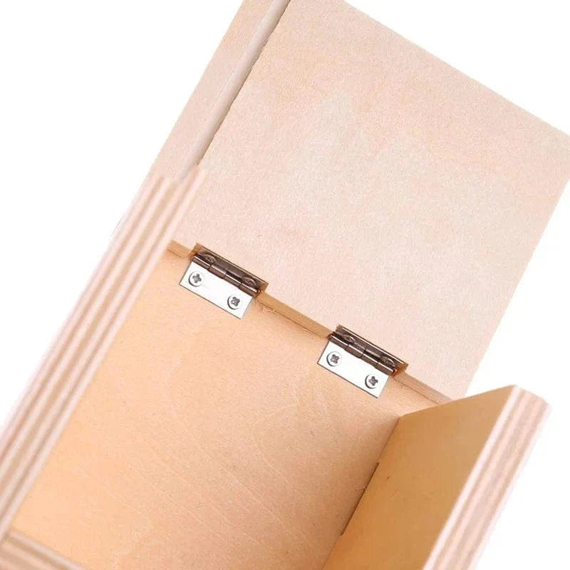 Trinomial Cube Montessori