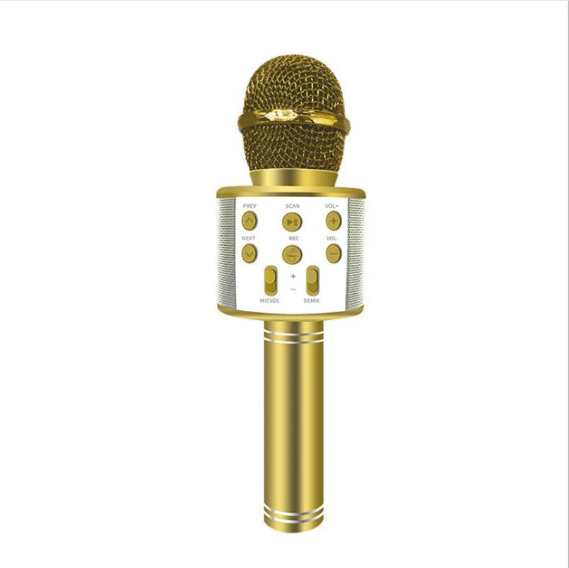 Fidtoy Wireless Bluetooth Karaoke Microphone for Kids & Adults