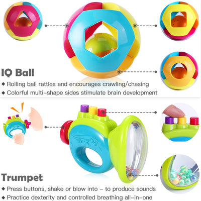 Fidtoy 10 PC Baby Rattle and Teether Set