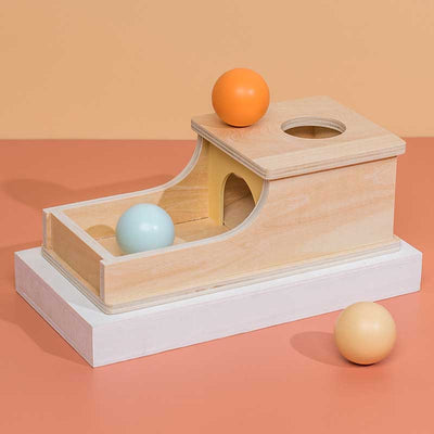 Fidtoy Montessori Object Permanence Box for Toddlers 6-36 Months Educational Fine Motor Toy