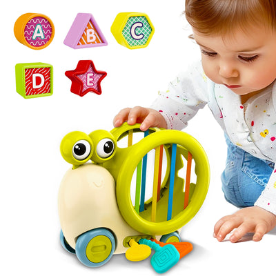 Fidtoy Juguete Clasificador de Formas de Caracol con Empuje para Bebés y Niños Pequeños
