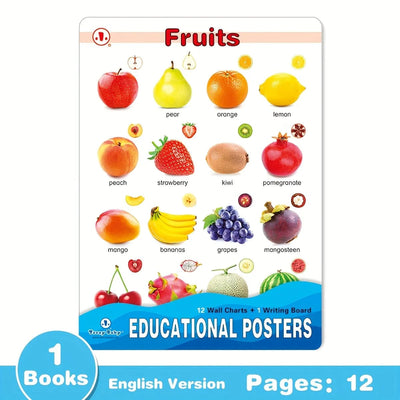 Póster educativo de reconocimiento de objetos 12 en 1 con pizarra borrable