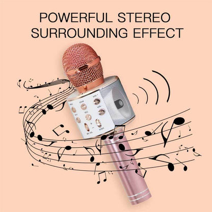 Bluetooth Microphone for Kids Singing